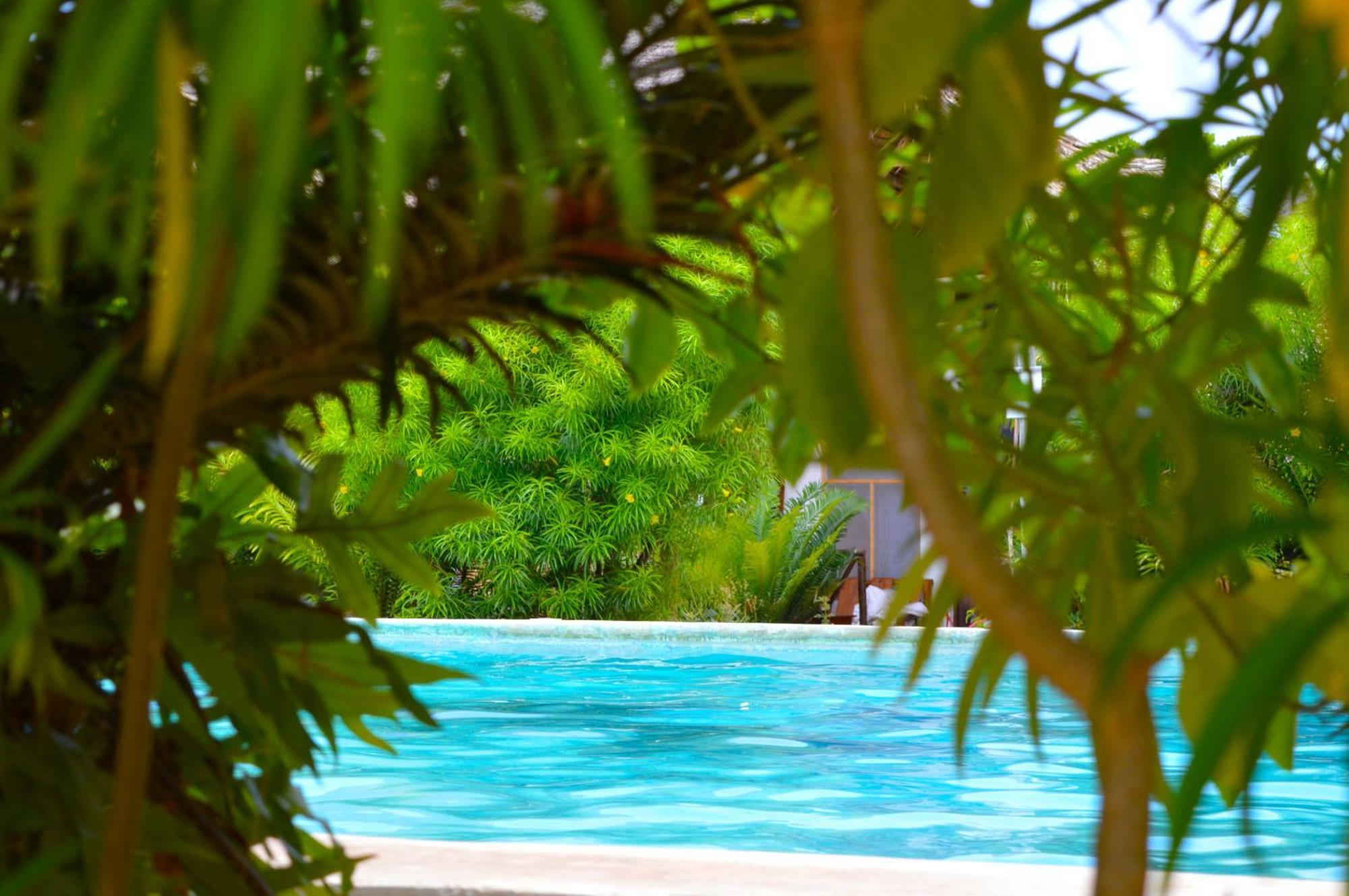 New Jambo Bungalows Paje Exterior foto